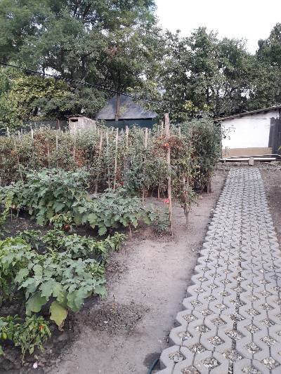 Comuna Valea Macrisului