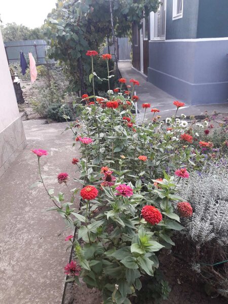 Comuna Valea Macrisului